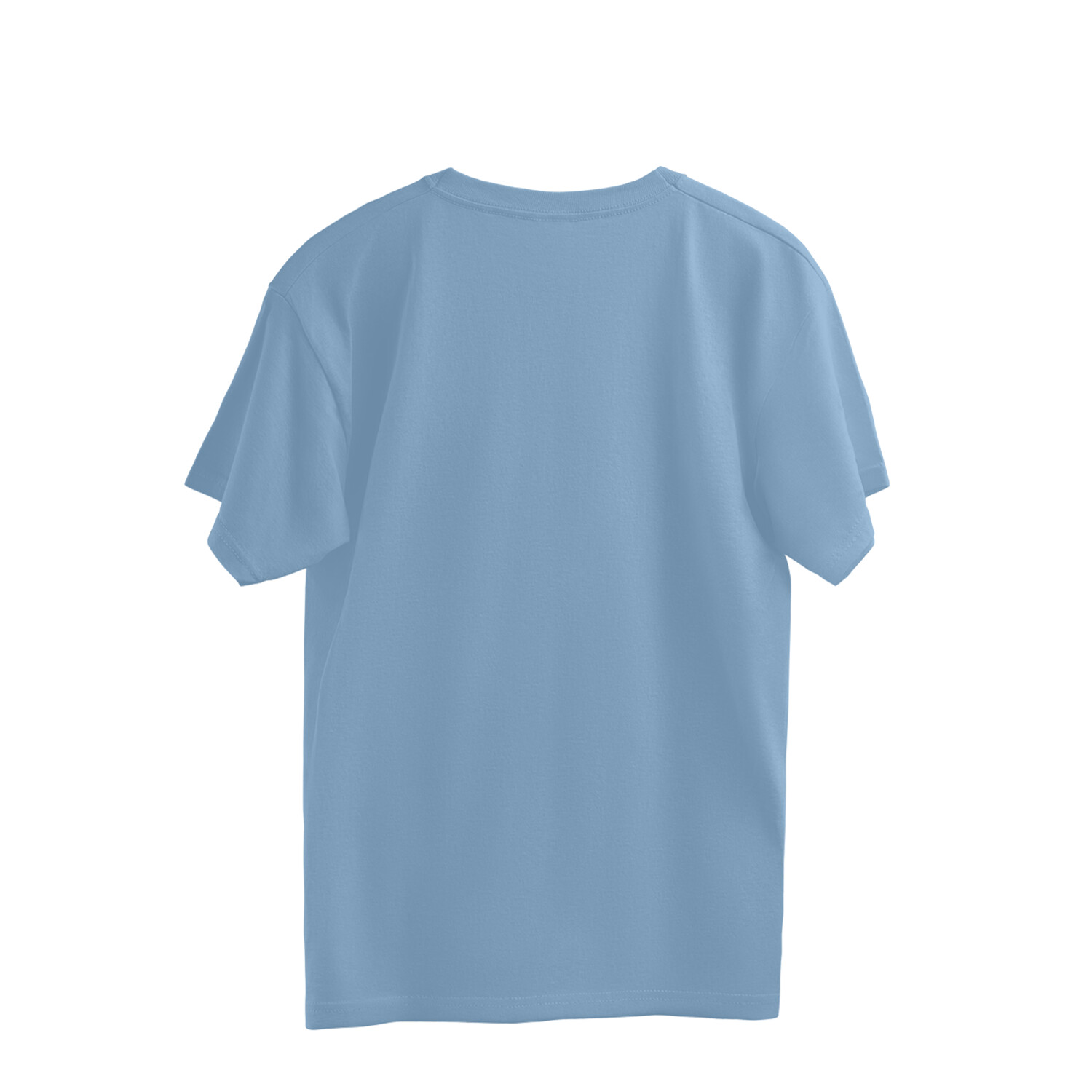back-6908bd7512b40-Baby_Blue_S_Oversized_T-shirt.jpg kingfisher bird printed oversized t shirt